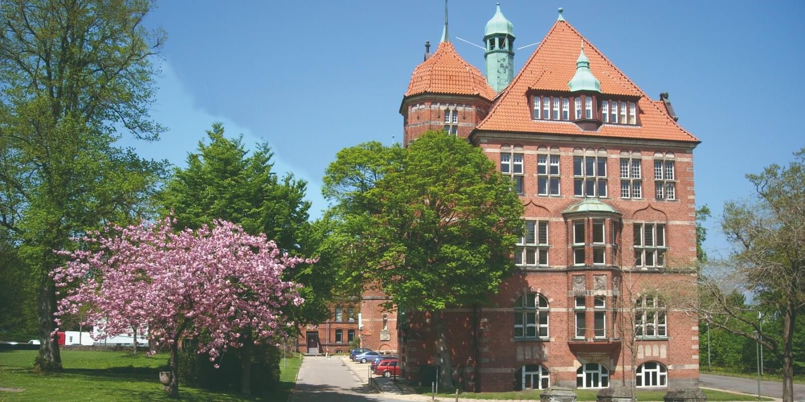 Die Kunst des Nordens