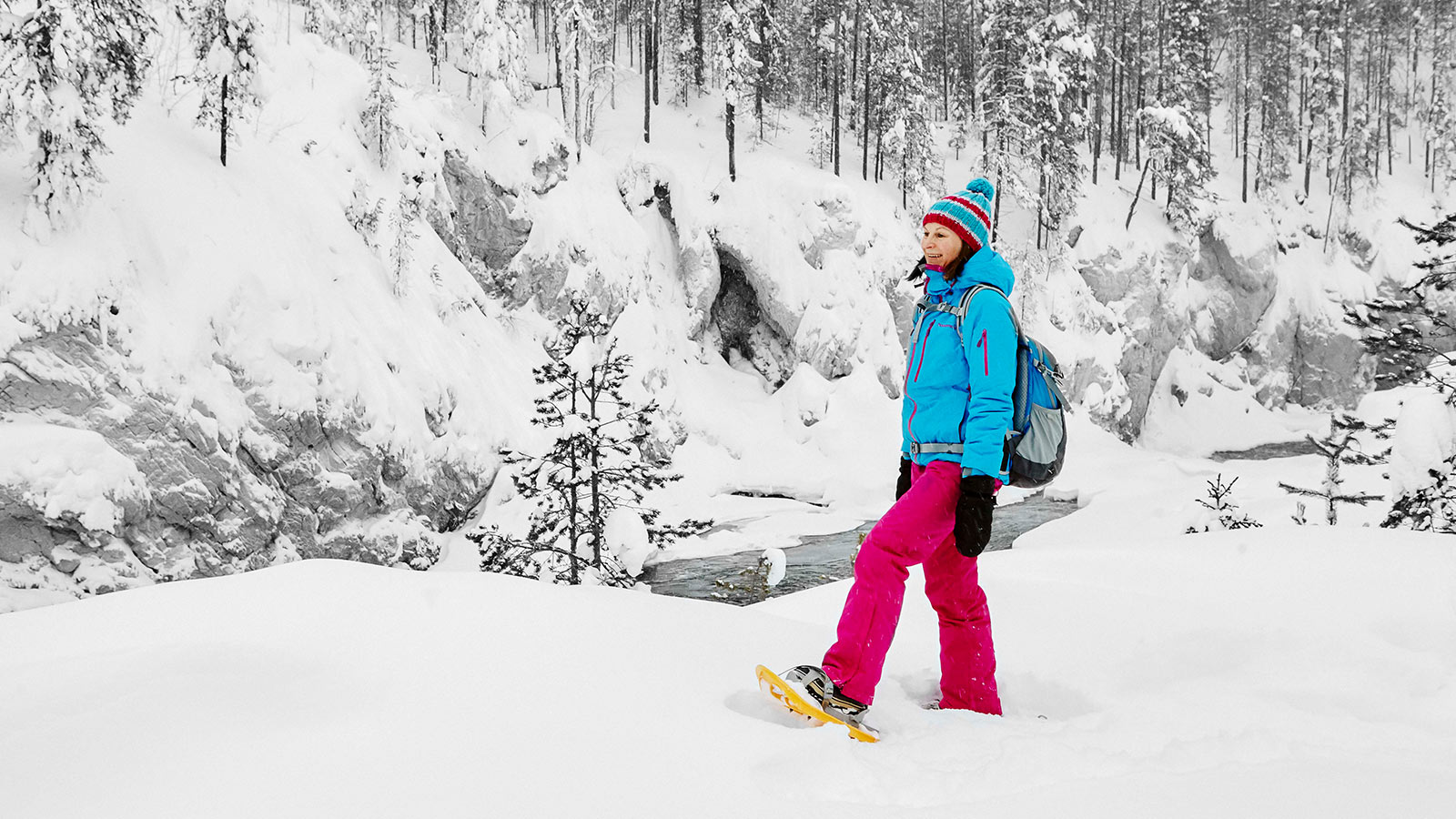 Schneeschuhwanderungen im Nationalpark Riisitunturi